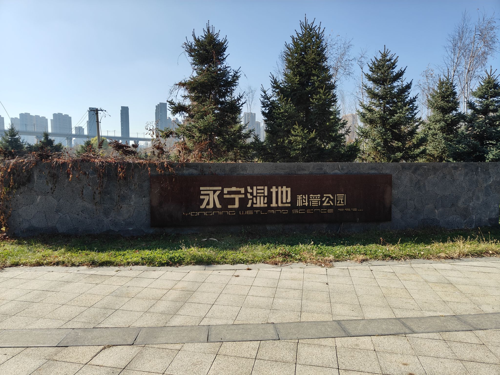 永宁湿地科普公园
