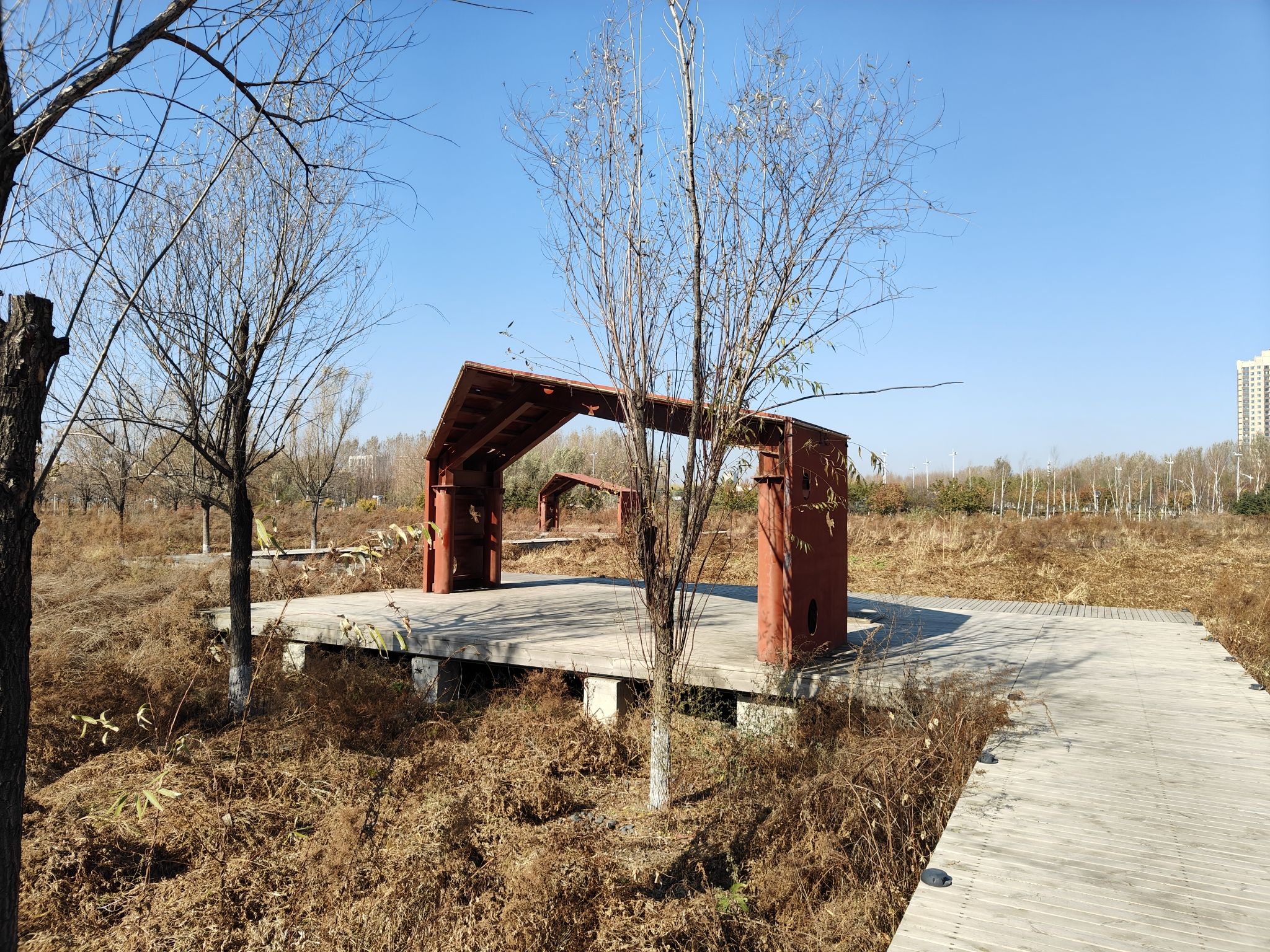永宁湿地科普公园旅行图片 2