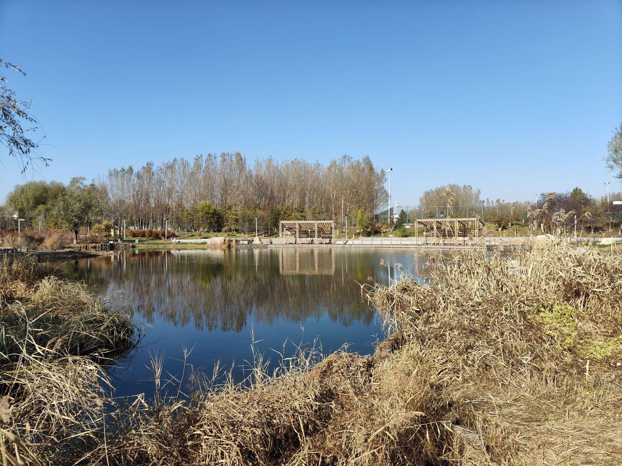 永宁湿地科普公园旅行图片 3