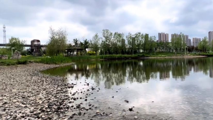 永宁湿地科普公园旅行图片 3