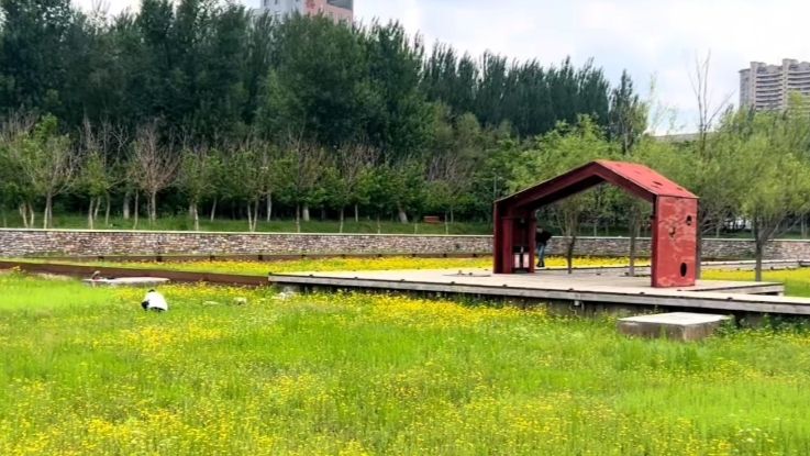 永宁湿地科普公园旅行图片 2