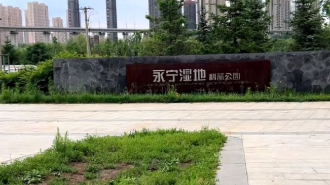 永宁湿地科普公园旅行图片 1