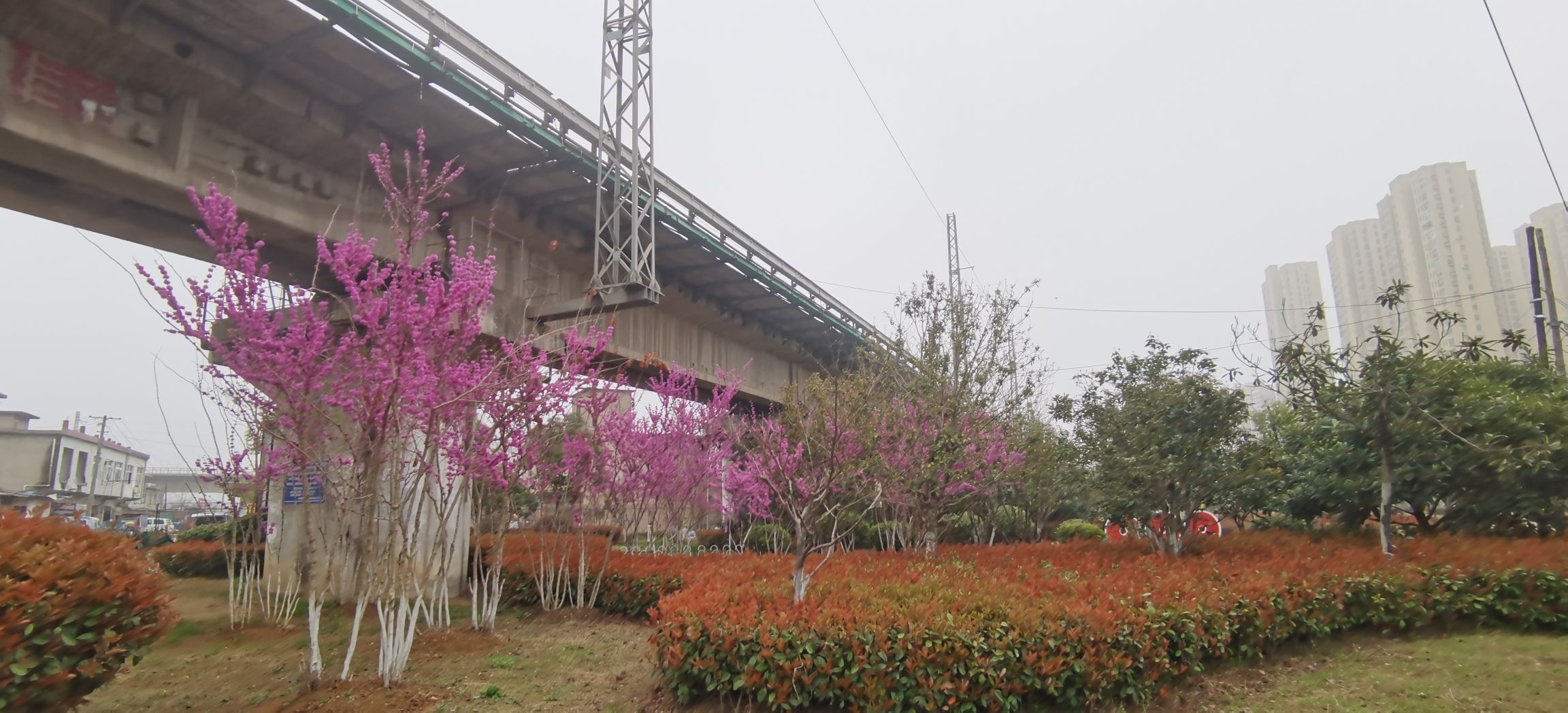 新站区铁路生态公园旅行图片 3
