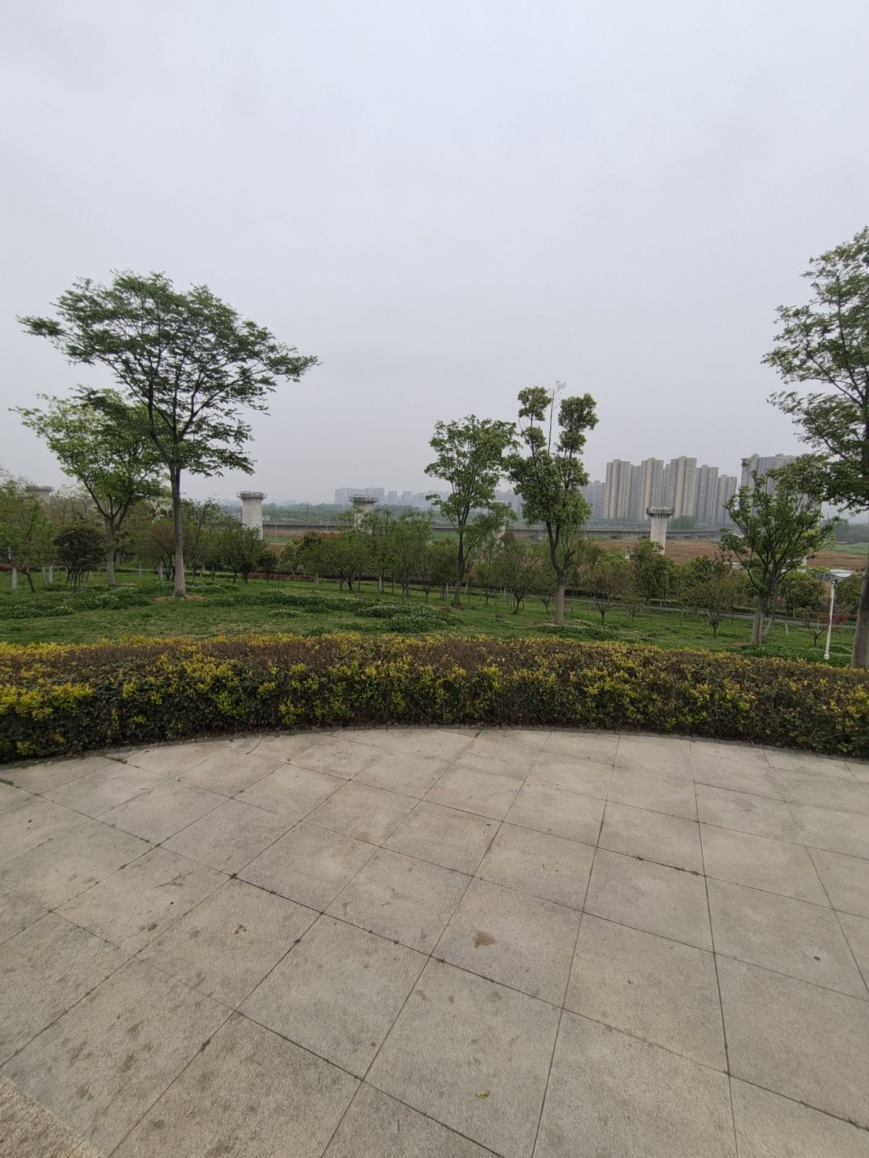 新站区铁路生态公园旅行图片 2