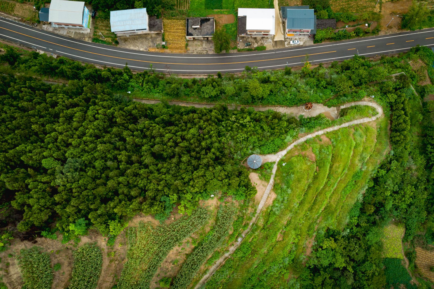 三台三元油菜花景点旅行图片 2