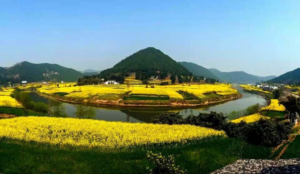 三台三元油菜花景点旅行图片 1