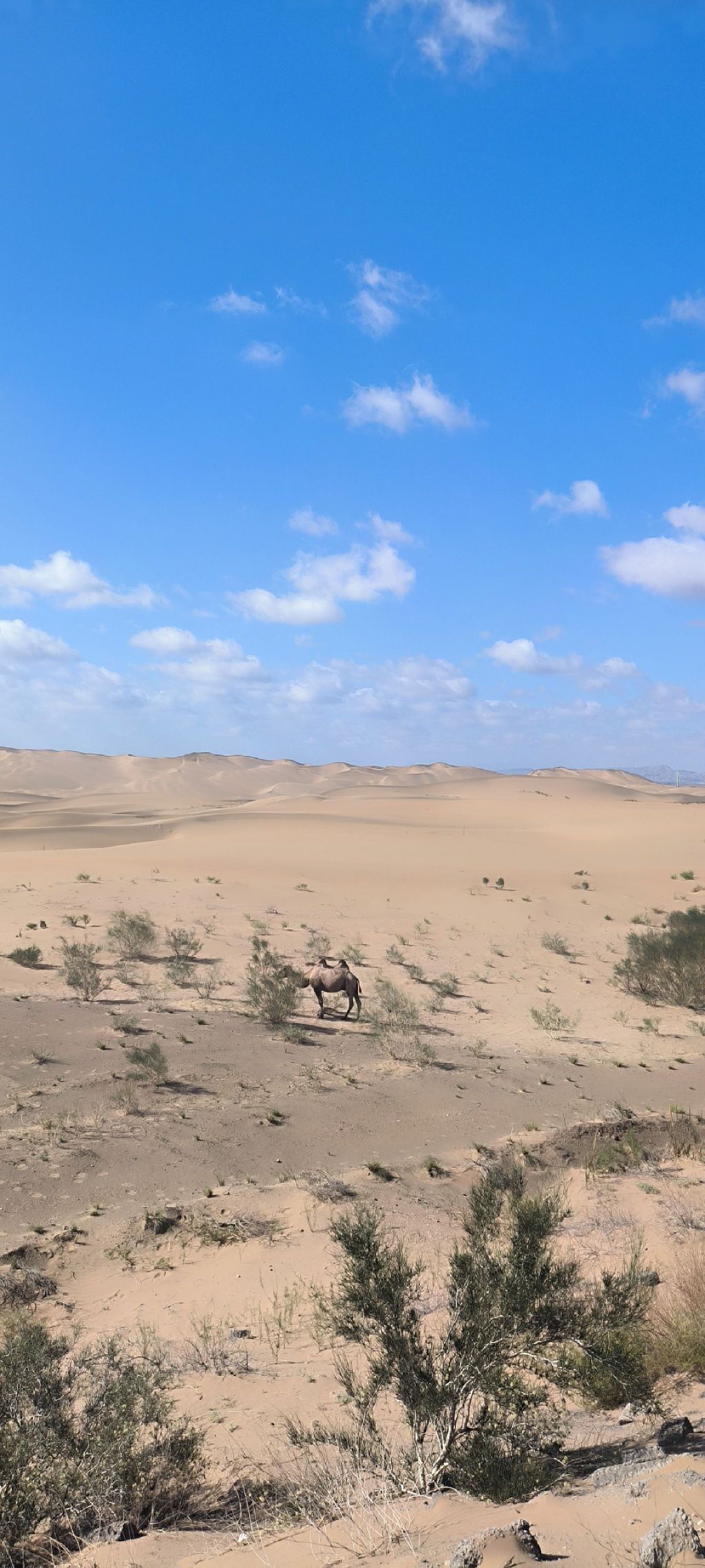 穿越之门旅行图片 2