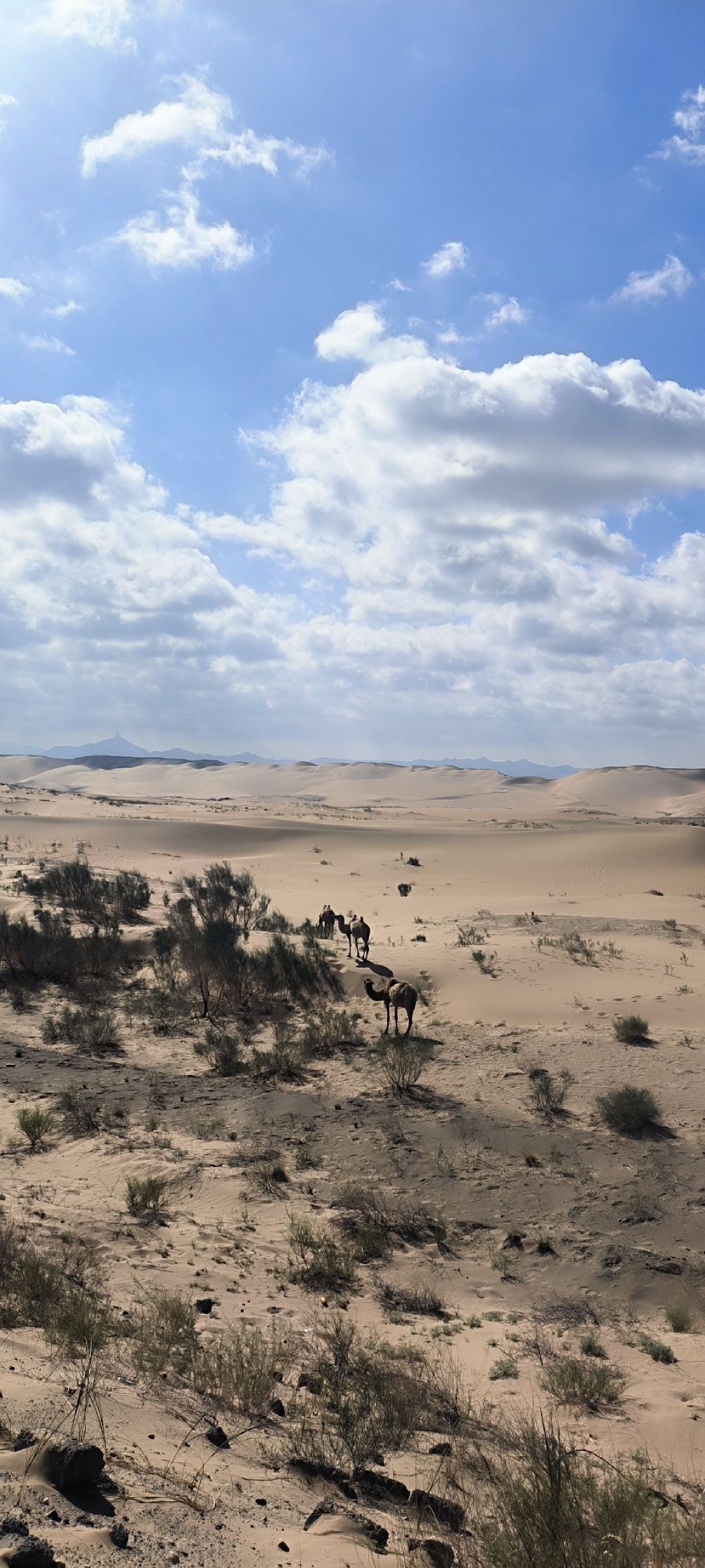 穿越之门旅行图片 1
