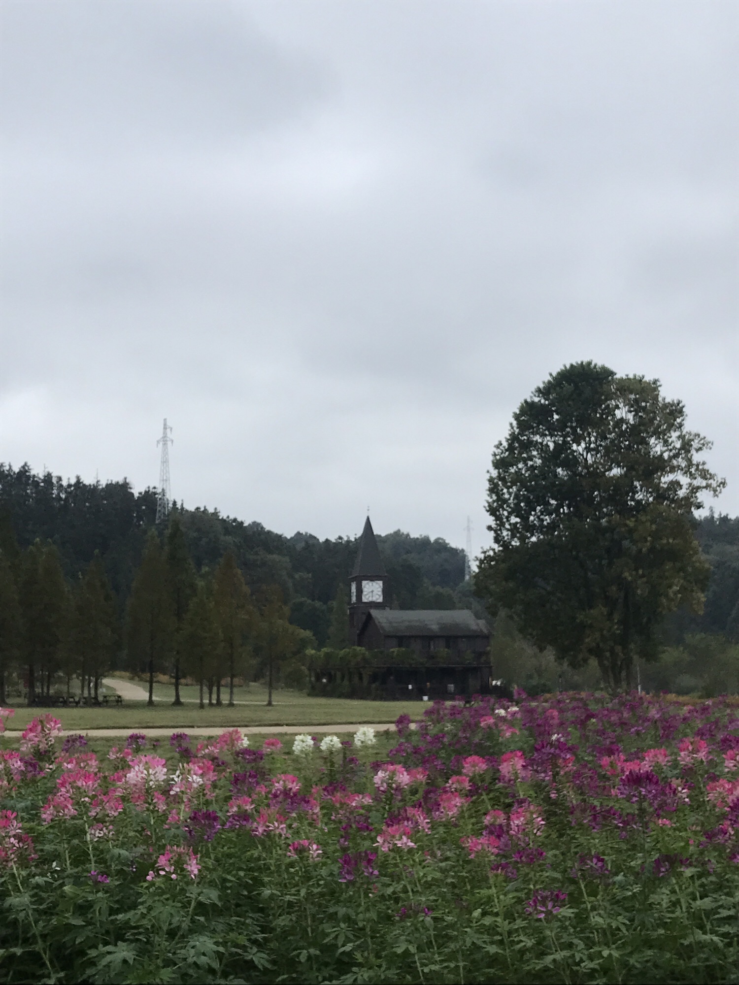 先锋小镇旅行图片 2