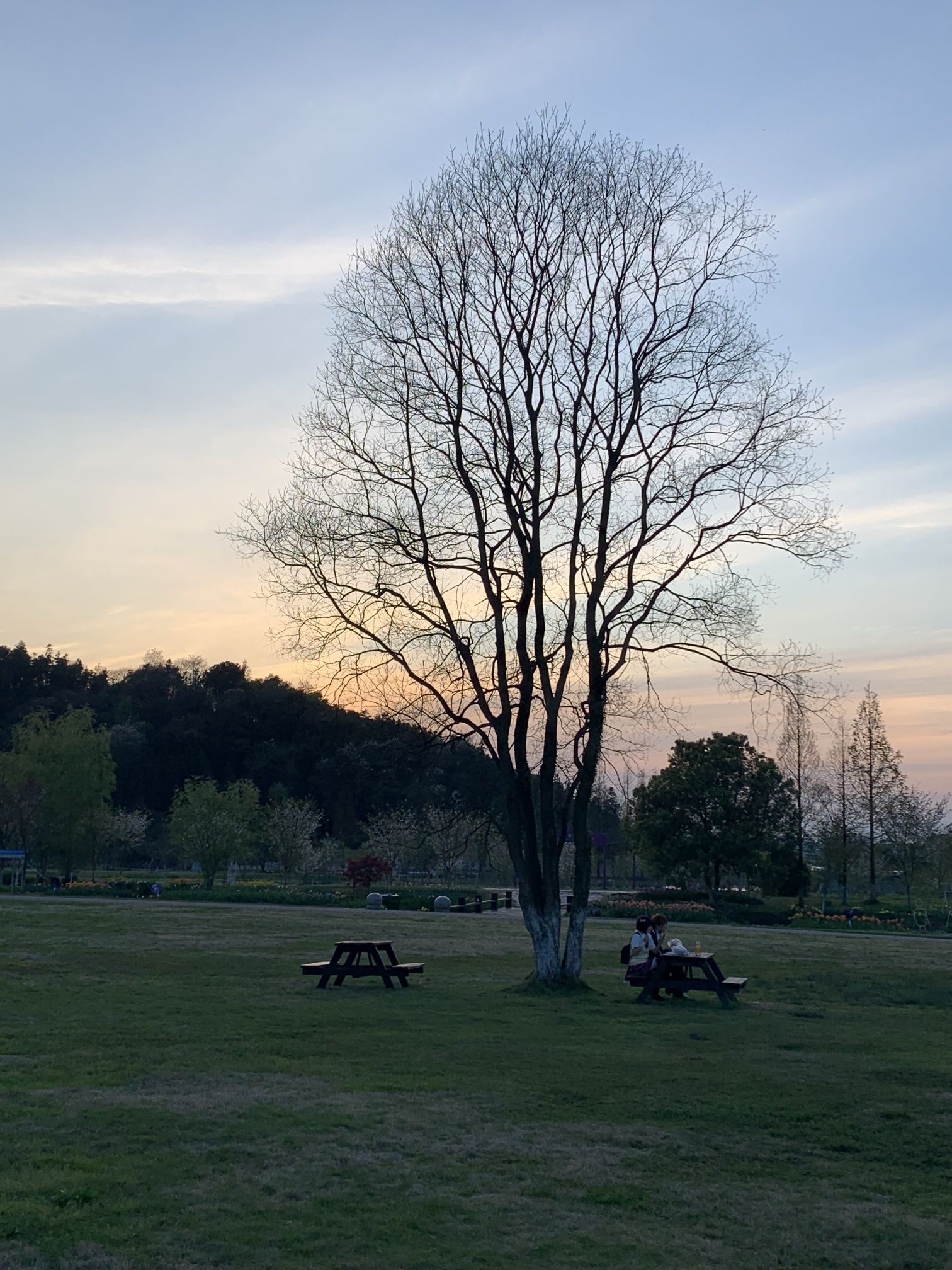 先锋小镇旅行图片 1