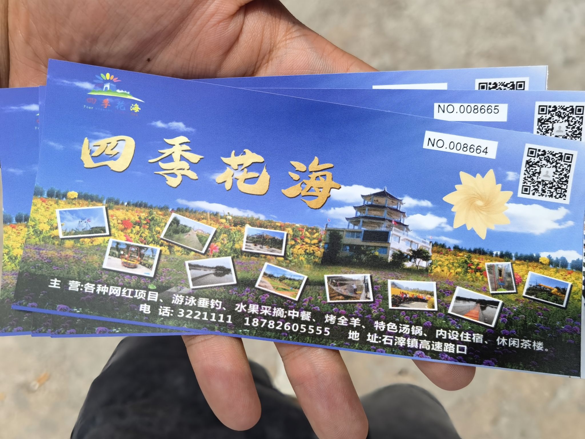 四季花海旅行图片 2