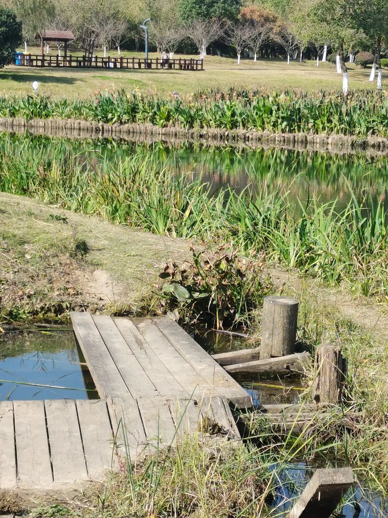 四季花海旅行图片 1