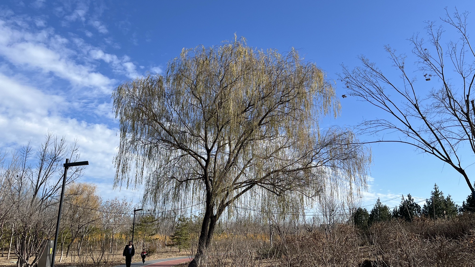 霍营公园旅行图片 3