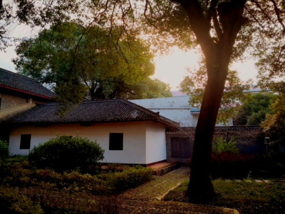 中山堂旅行图片 1