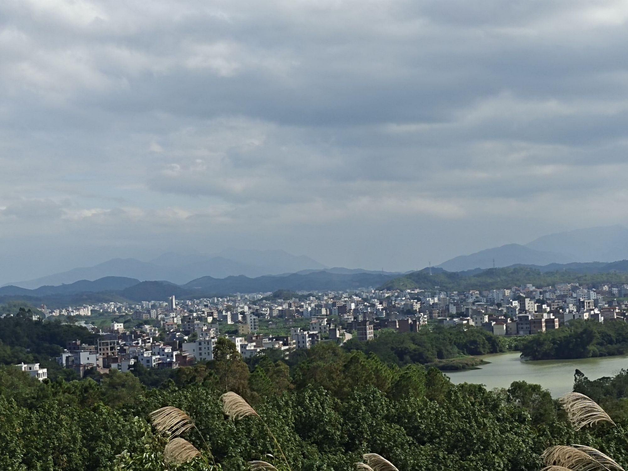 彭村森林公园旅行图片 2