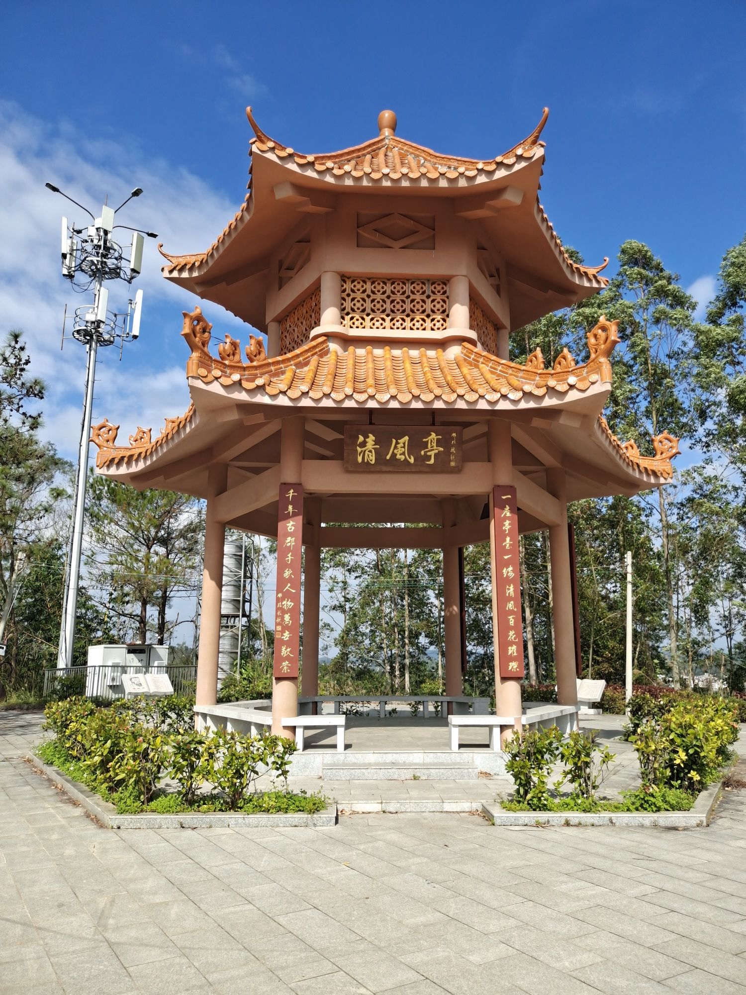 彭村森林公园旅行图片 3