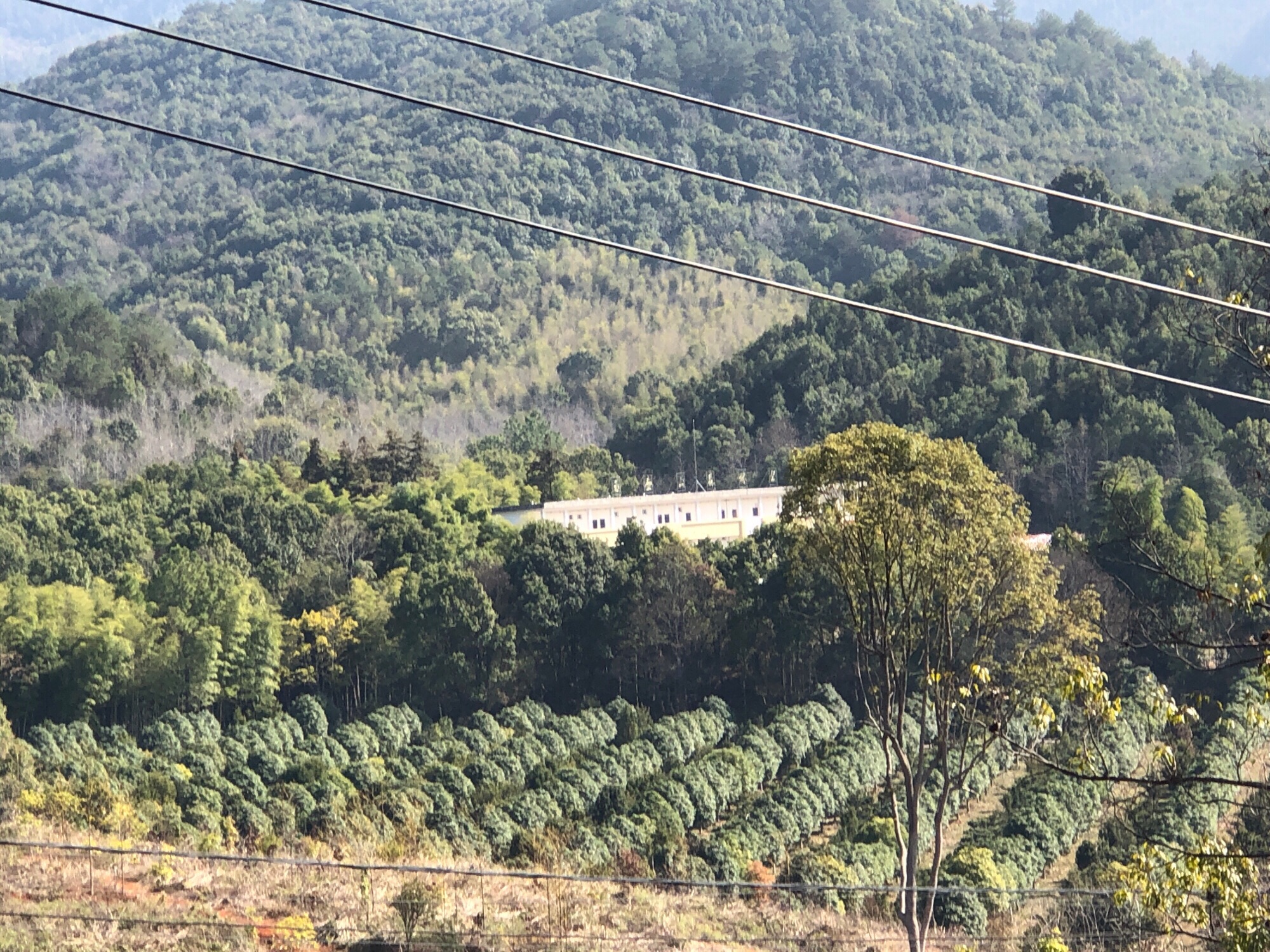 玉壶山森林公园旅行图片 2