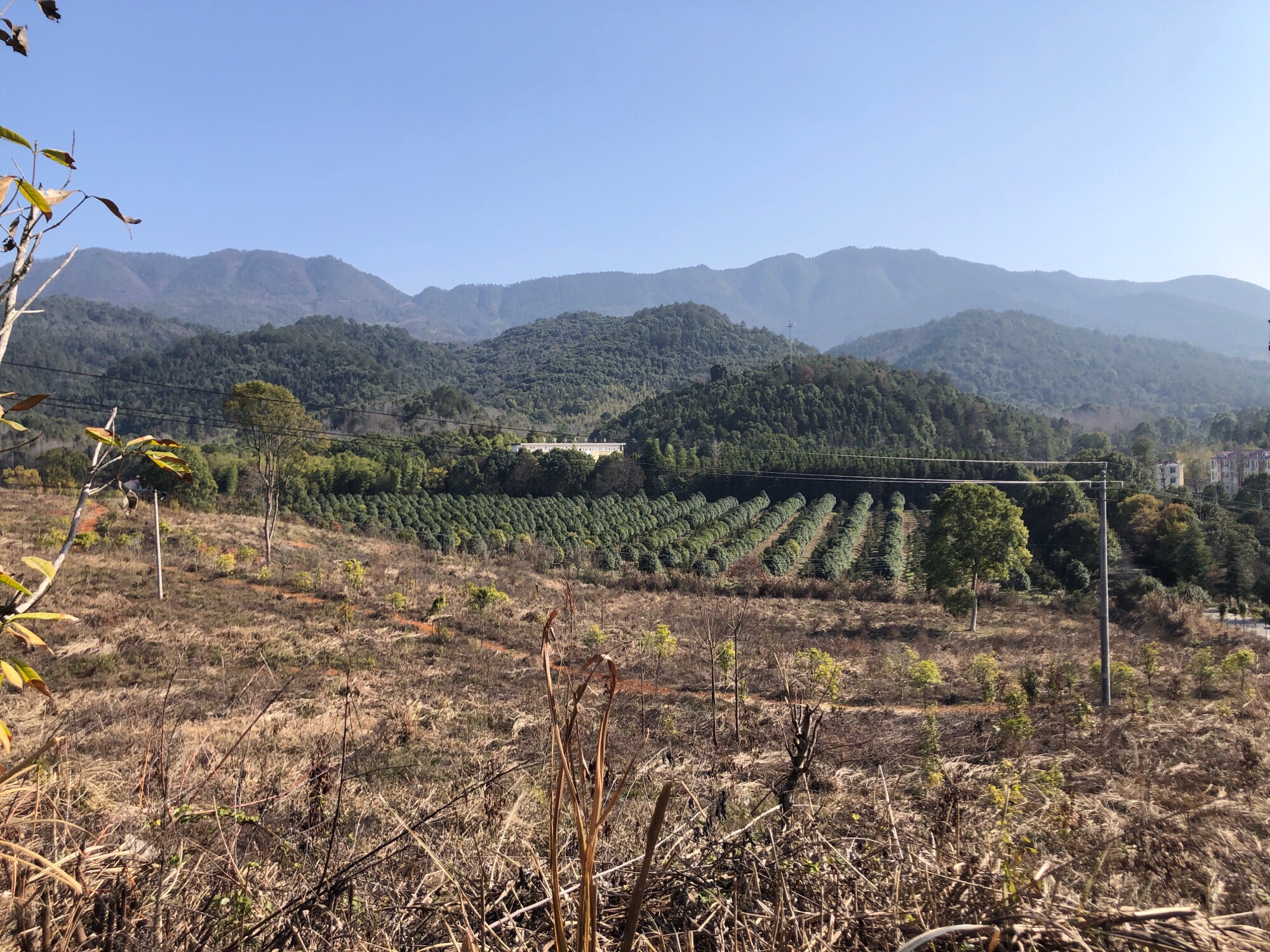玉壶山森林公园