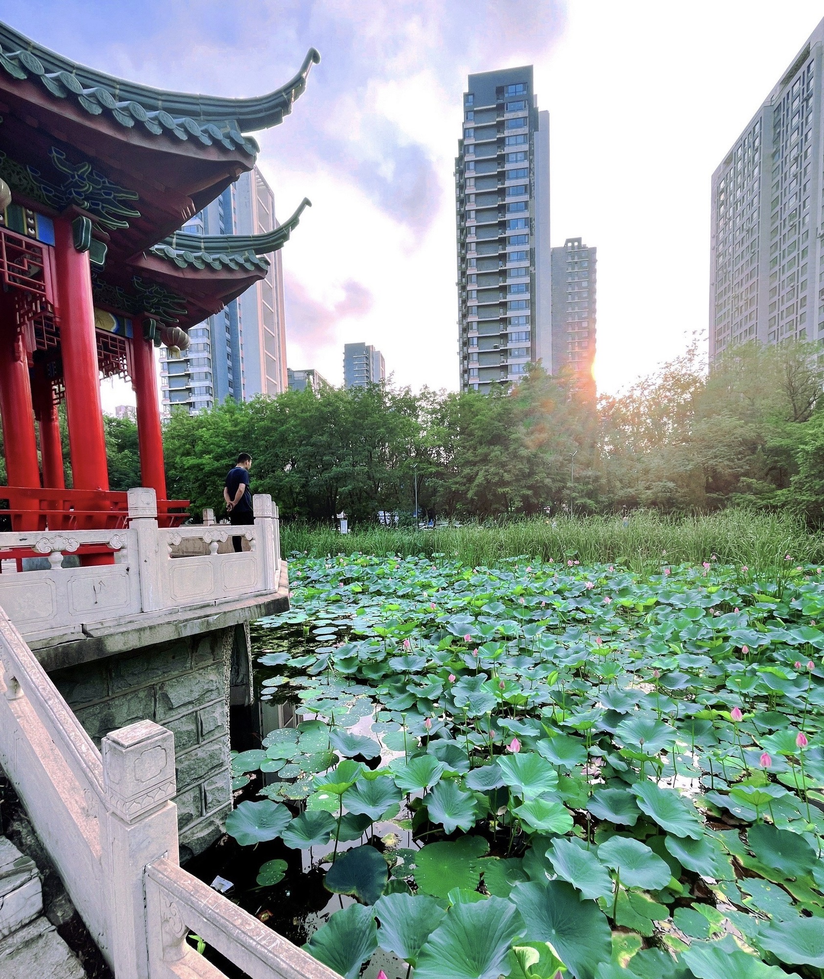 百鸟公园旅行图片 3