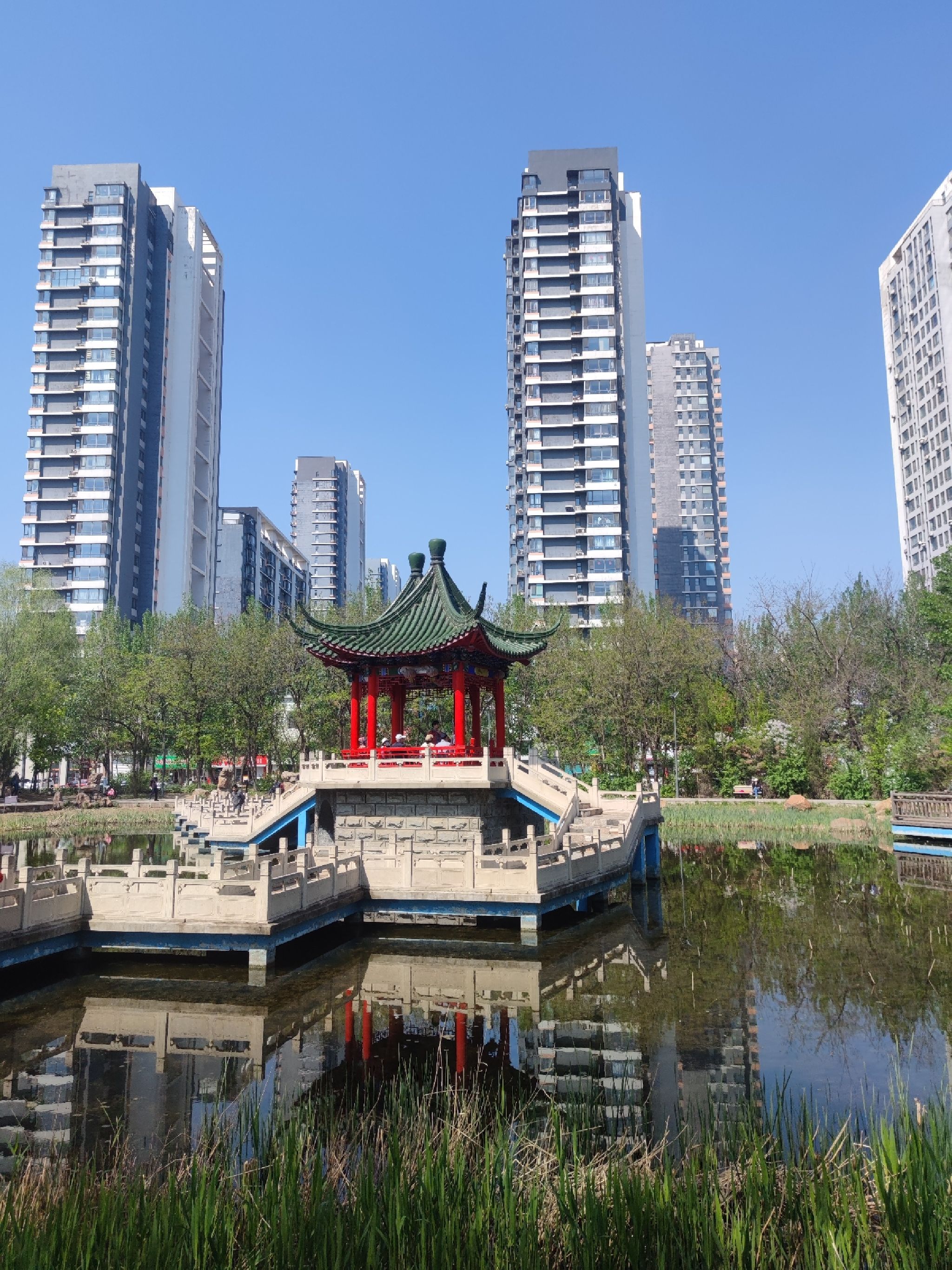 百鸟公园旅行图片 1