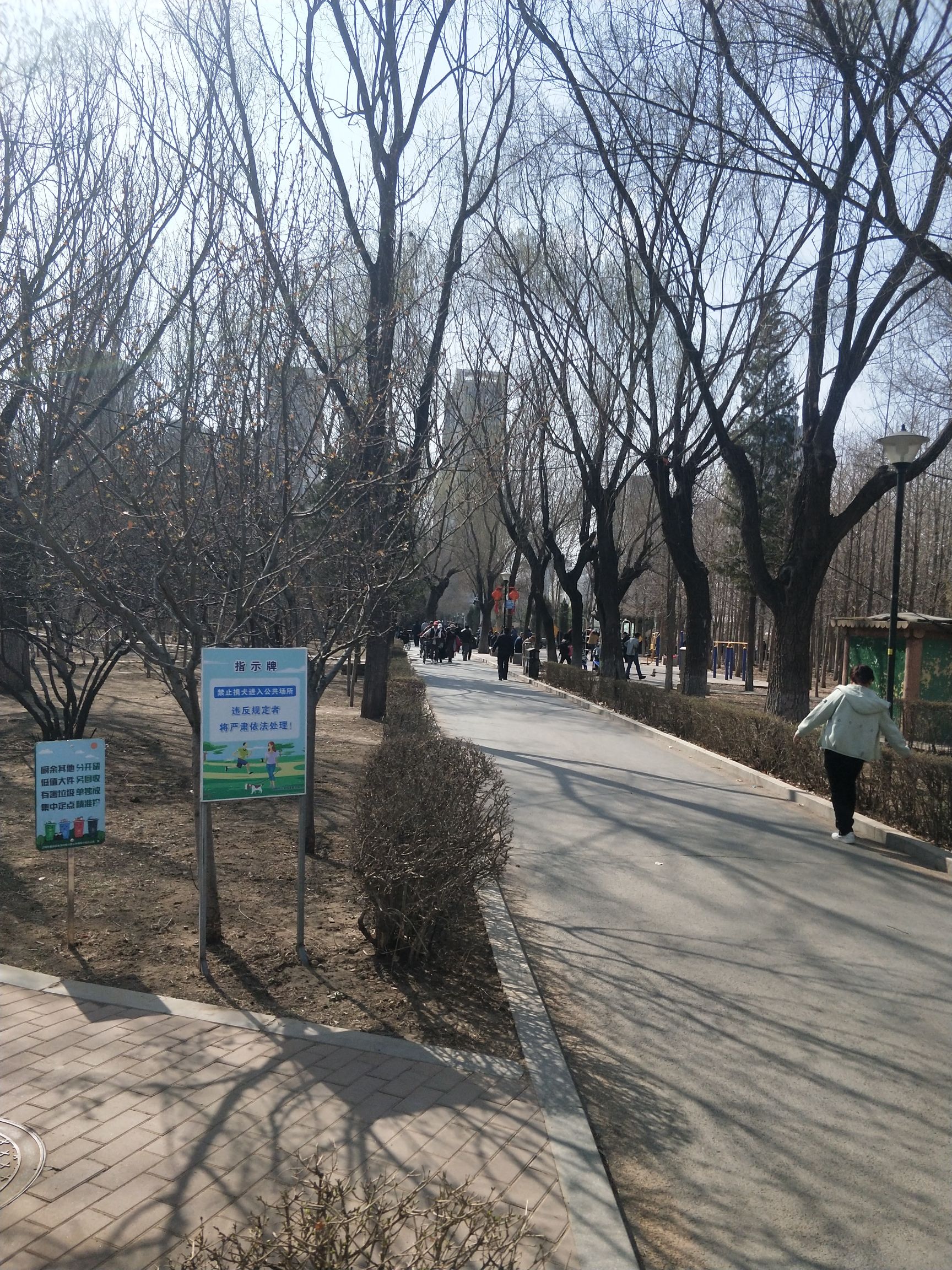 百鸟公园旅行图片 3