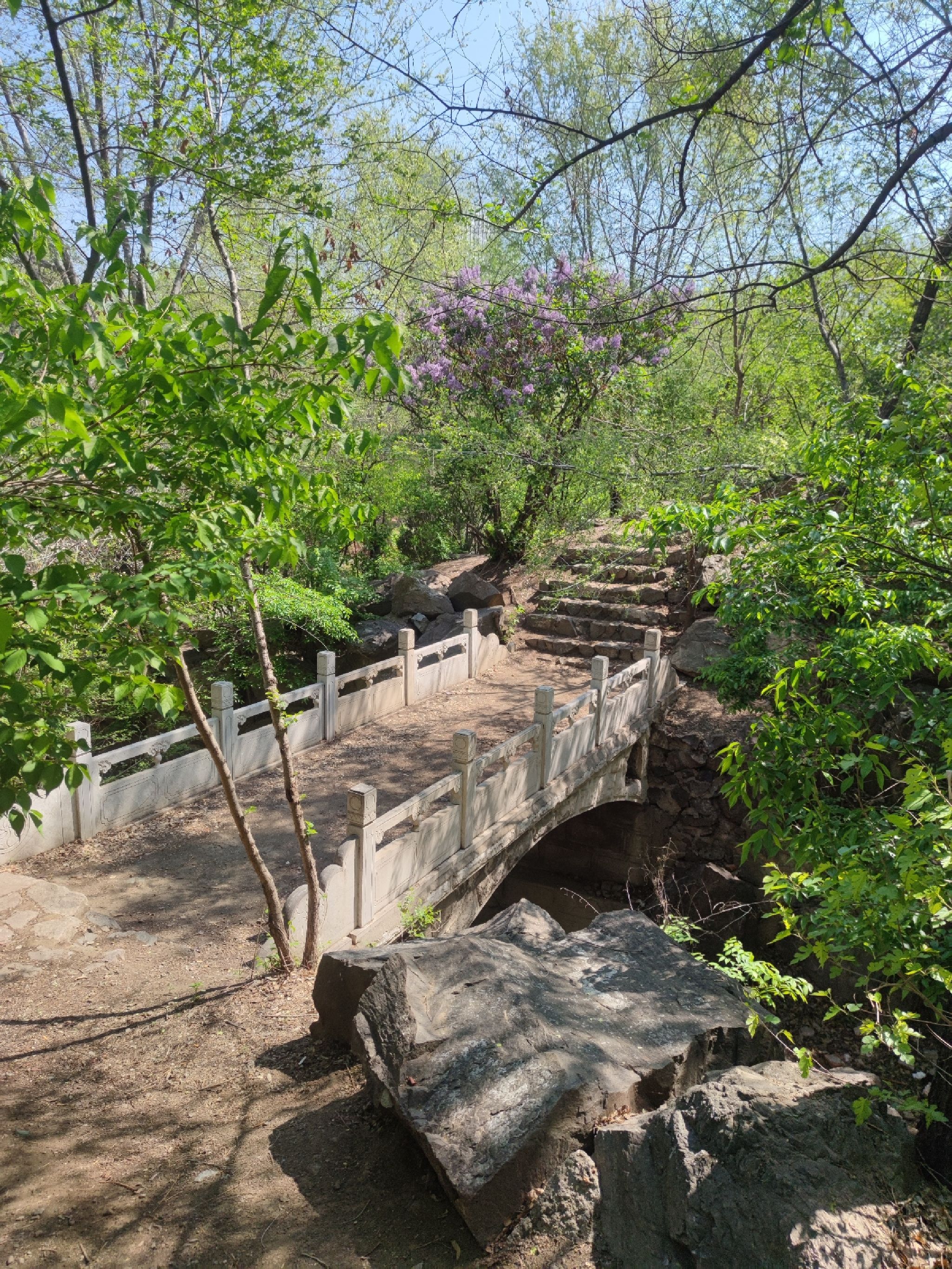 百鸟公园旅行图片 3