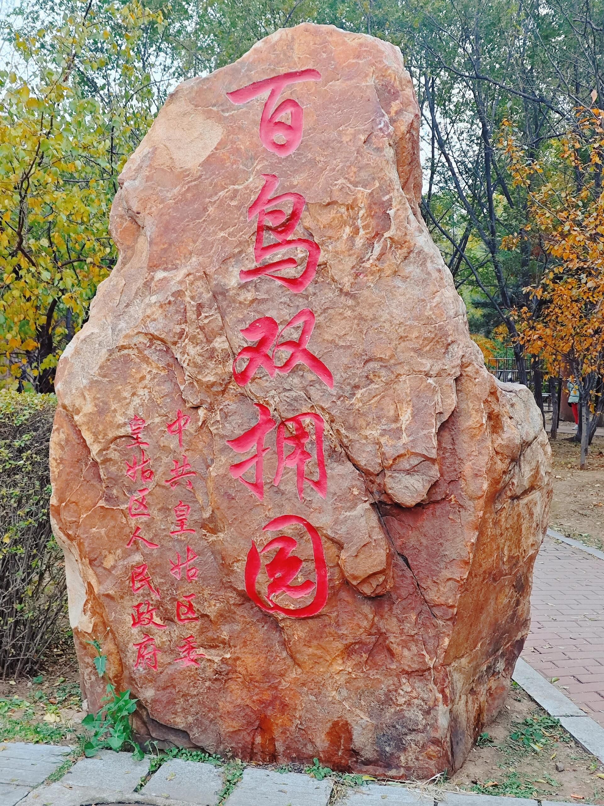 百鸟公园旅行图片 2