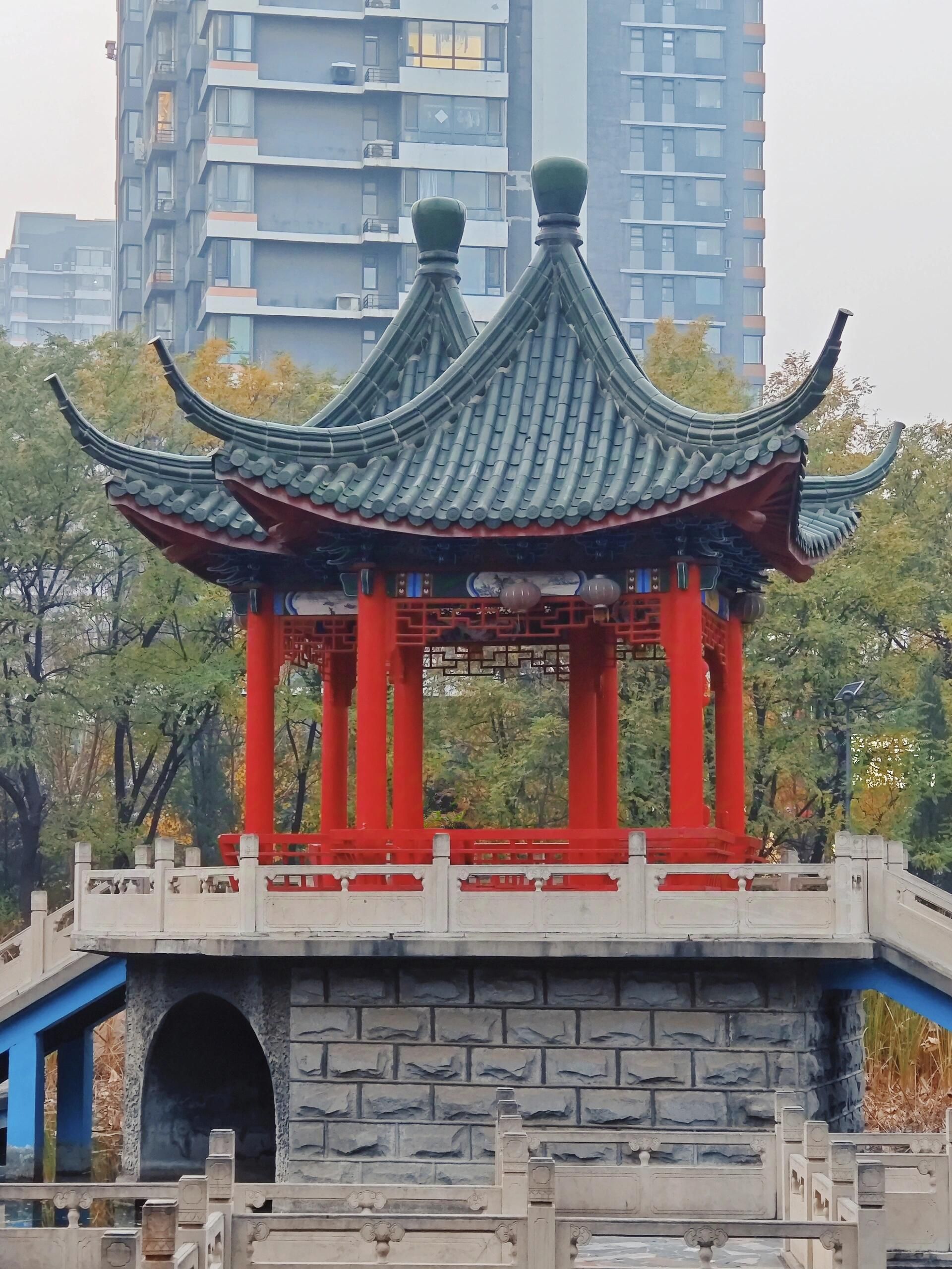 百鸟公园旅行图片 3