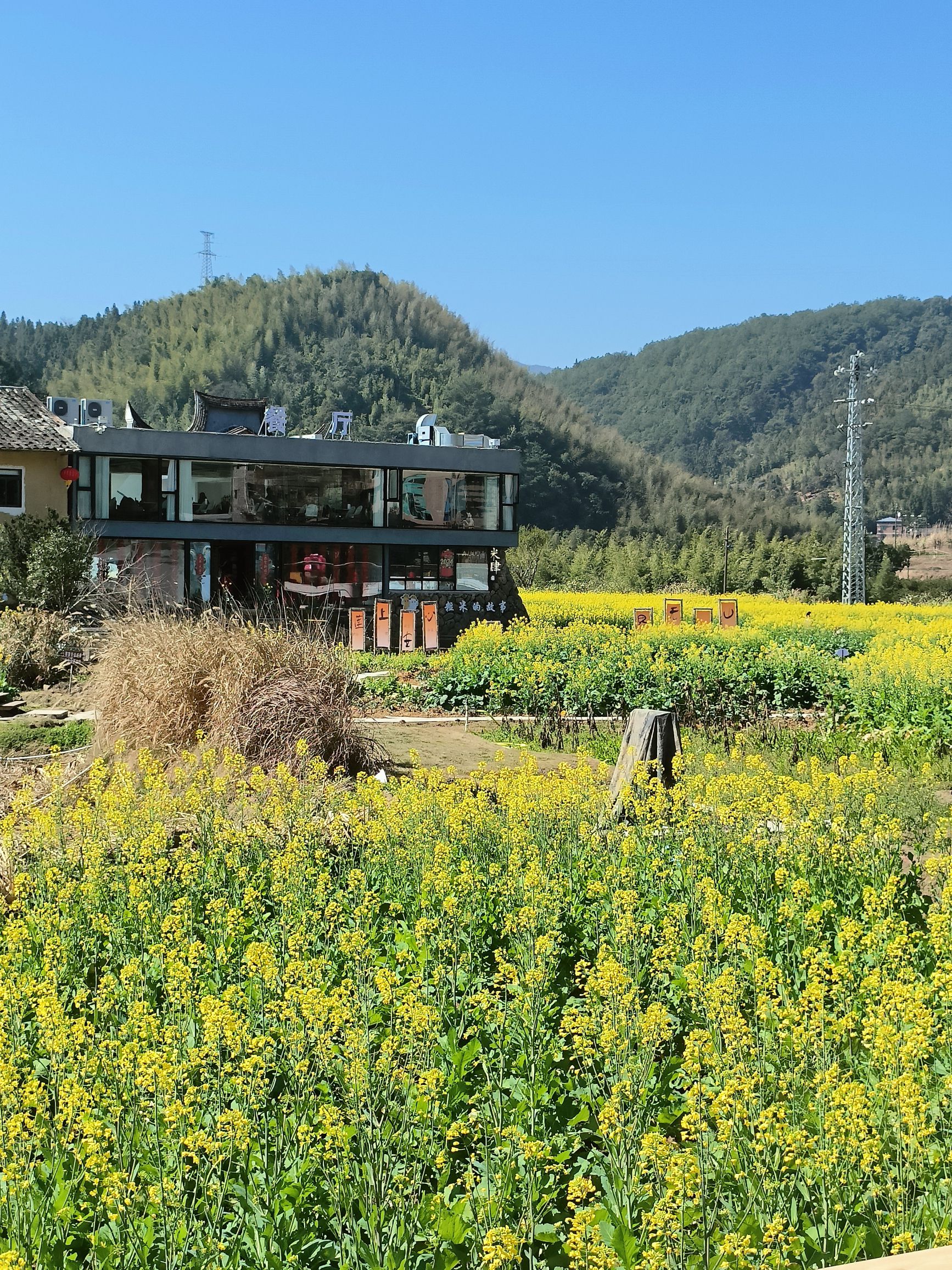 上莲森林公园旅行图片 3