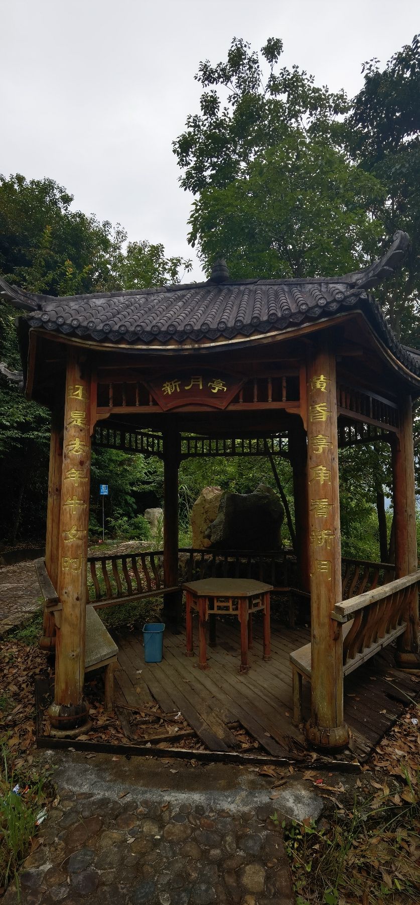 上莲森林公园旅行图片 2