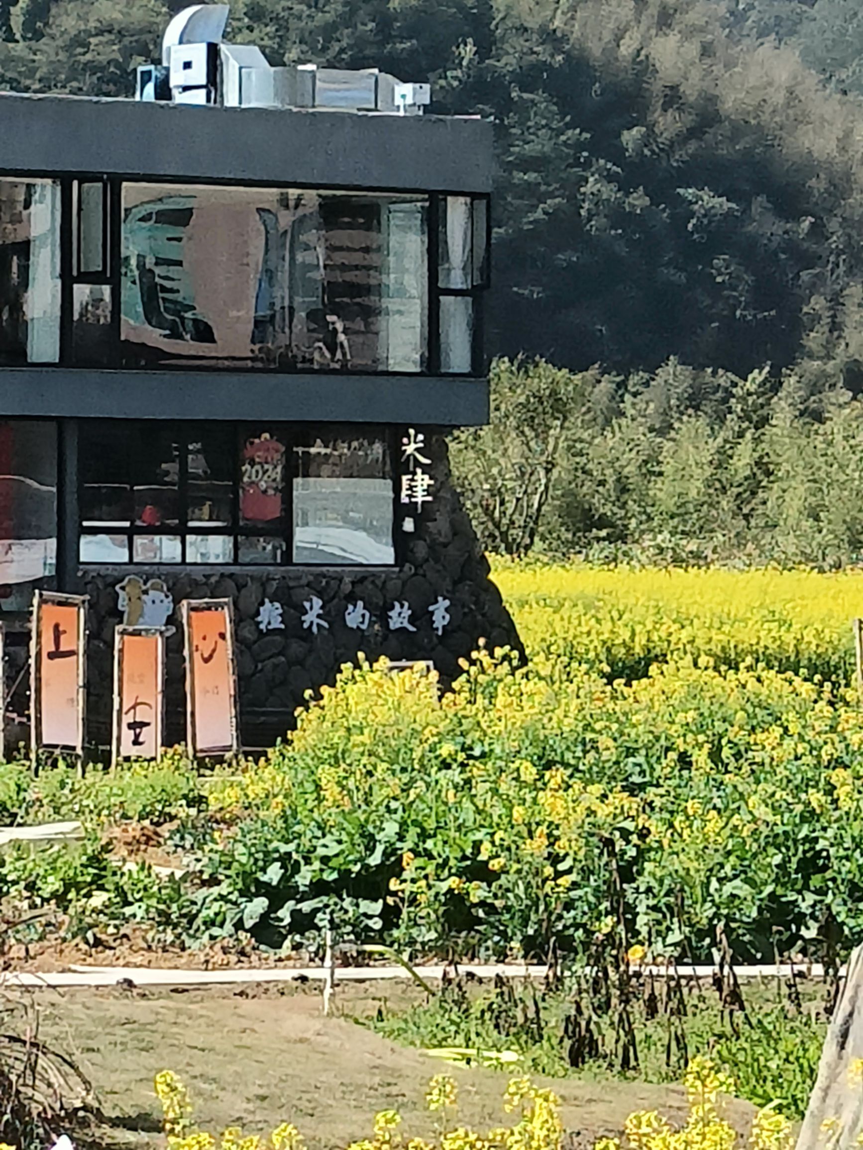 上莲森林公园旅行图片 2