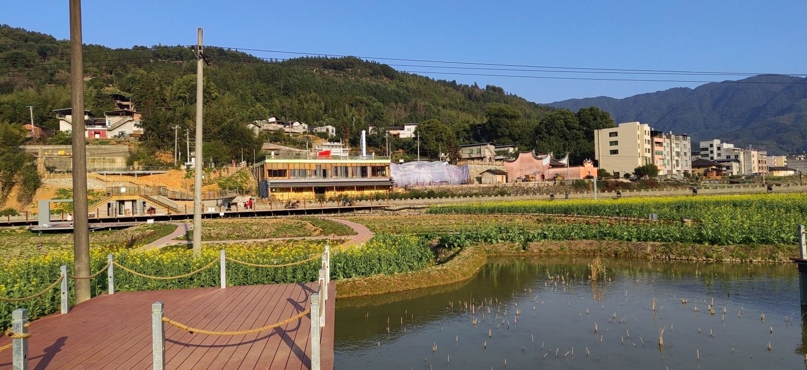 上莲森林公园旅行图片 2