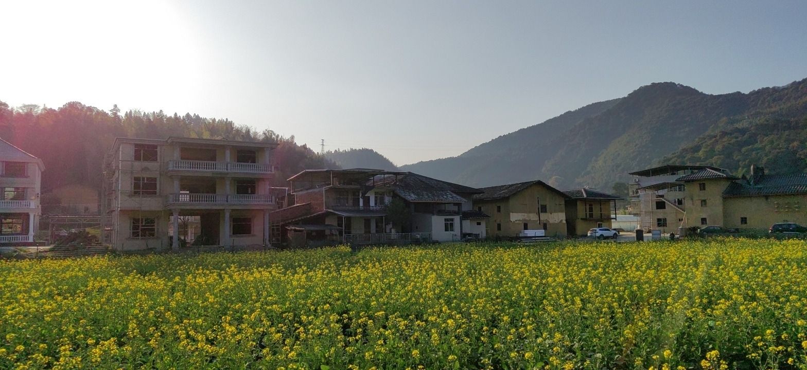 上莲森林公园旅行图片 1
