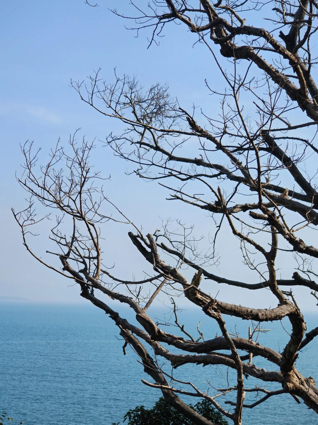 背仔角沙滩旅行图片 3
