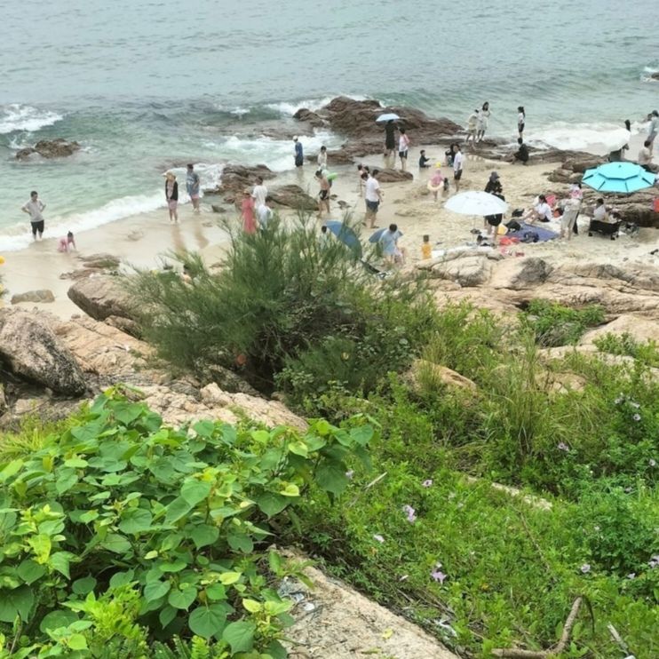 背仔角沙滩旅行图片 2