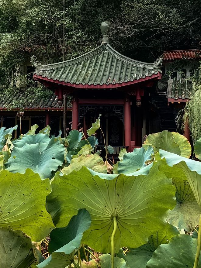 绵阳市富乐山公园旅行图片 3