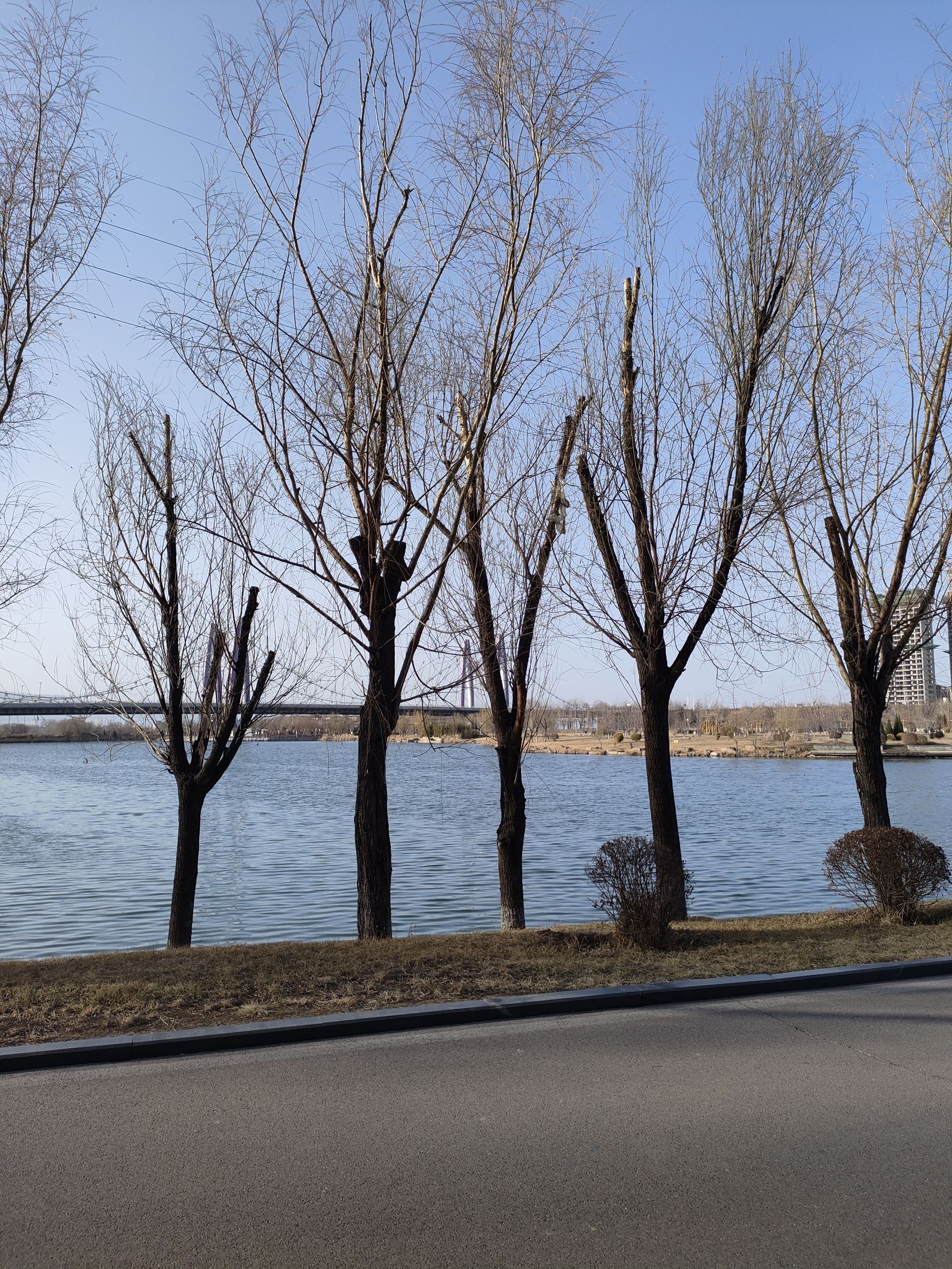 涝洰河生态公园旅行图片 1