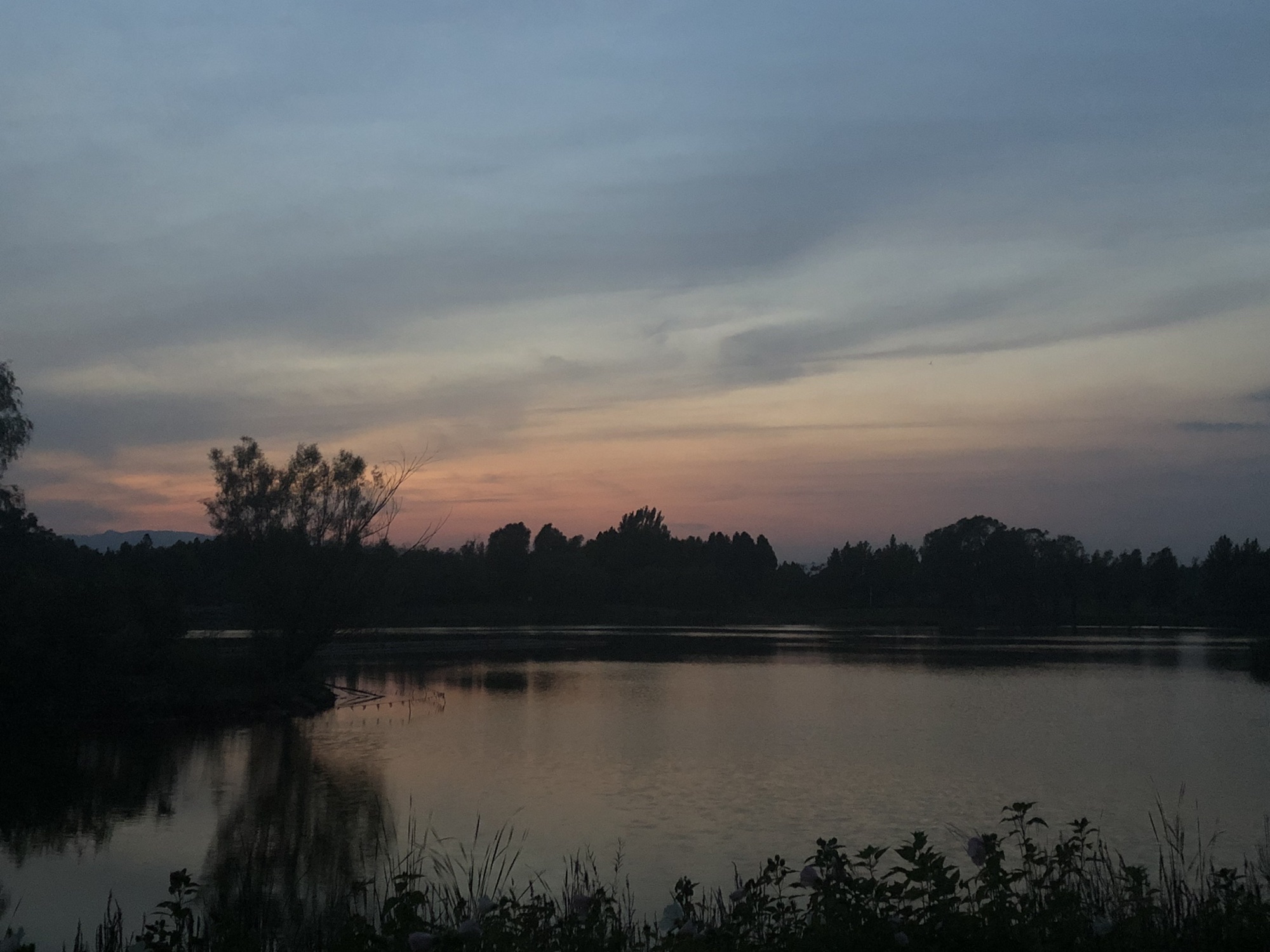涝洰河生态公园旅行图片 1