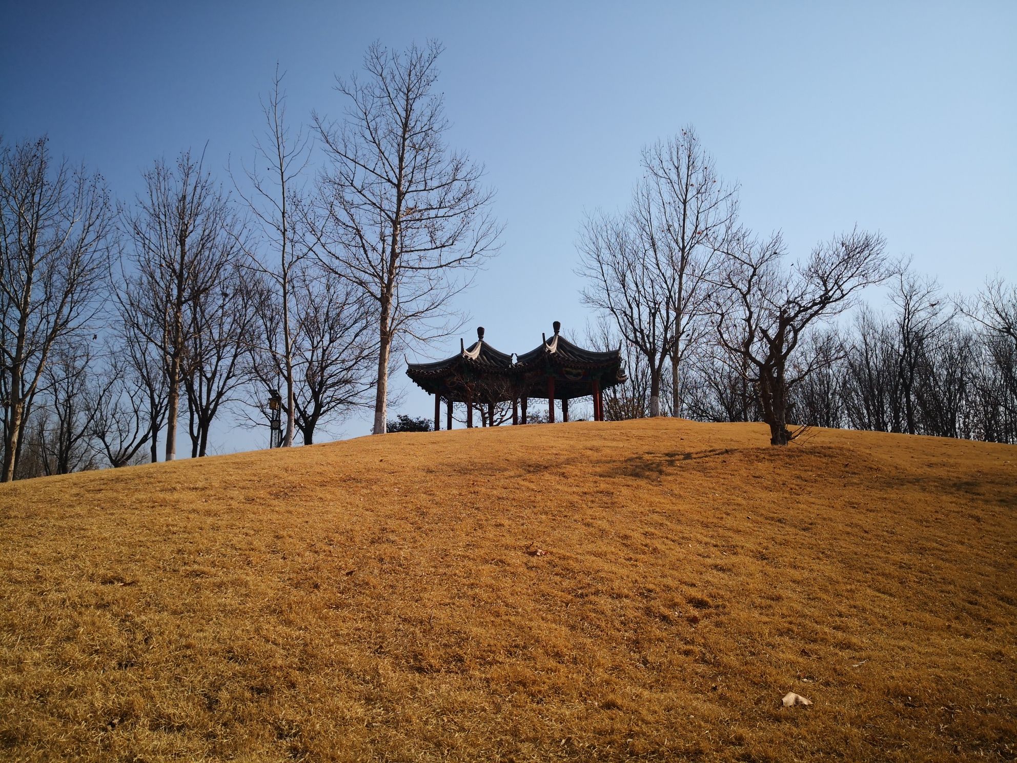 涝洰河生态公园旅行图片 3