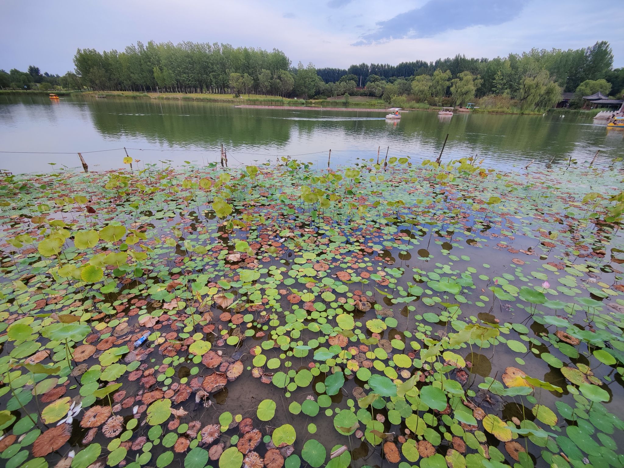 涝洰河生态公园