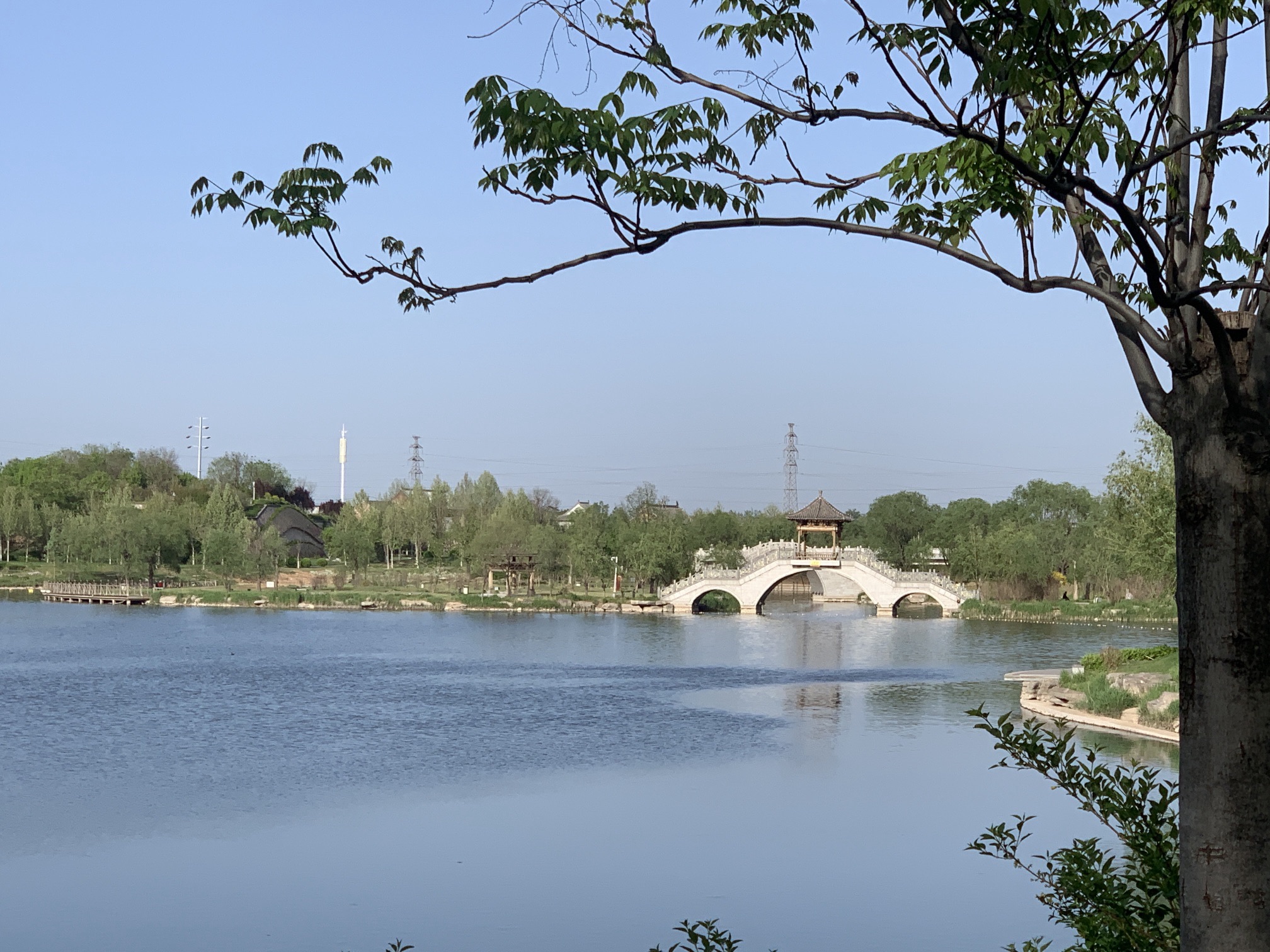 涝洰河生态公园旅行图片 3