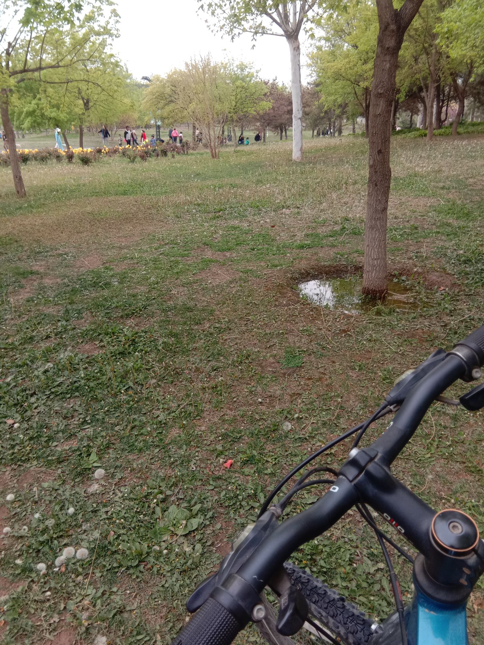 涝洰河生态公园旅行图片 2