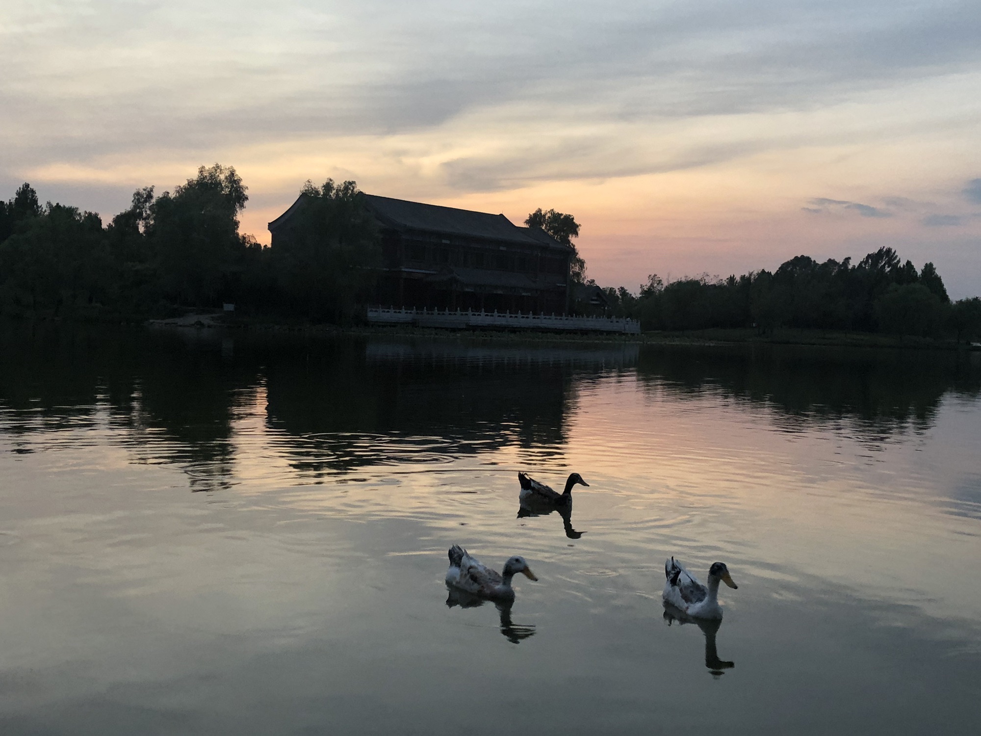 涝洰河生态公园旅行图片 3