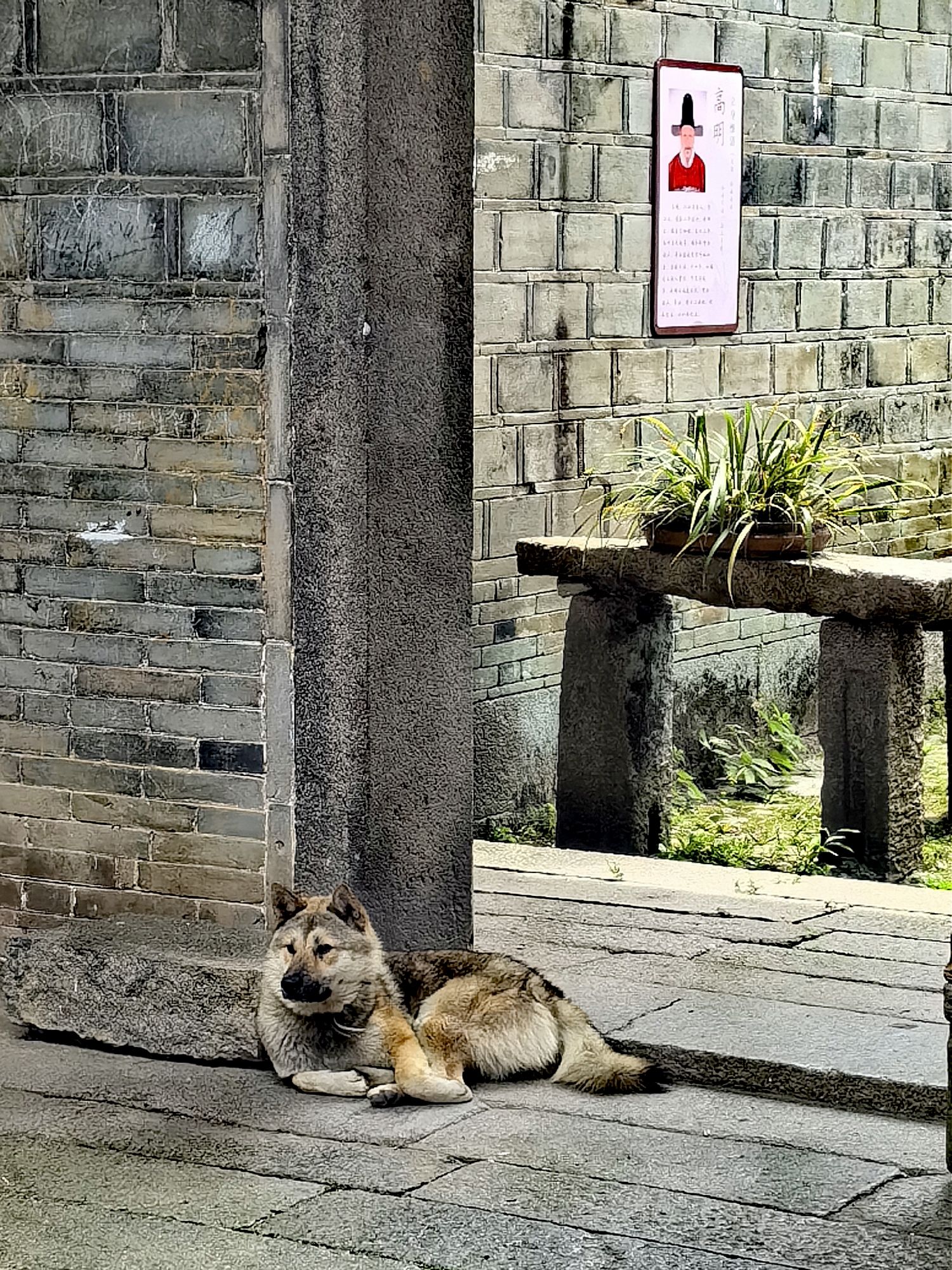 曾家古建筑群旅行图片 3