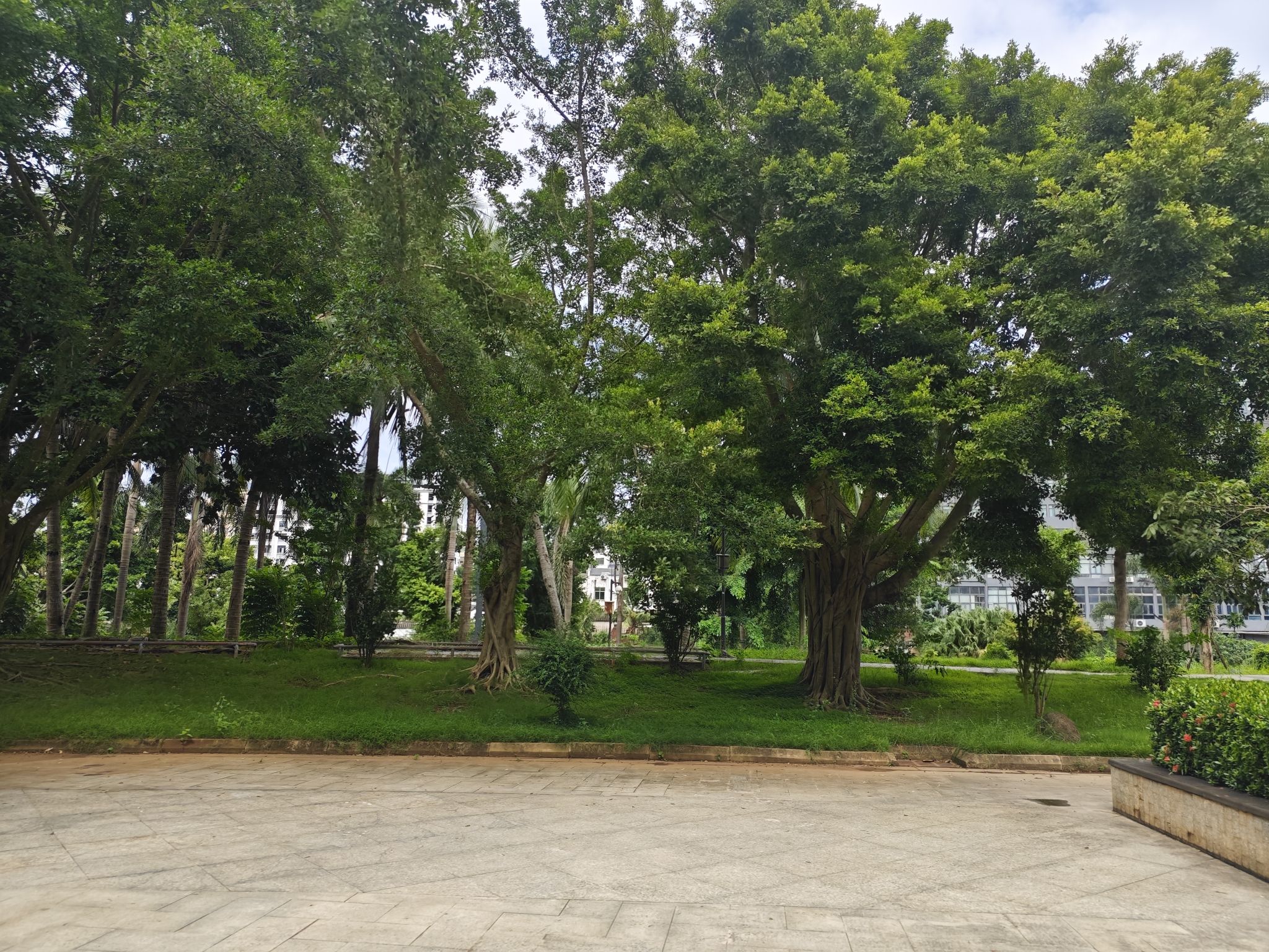 美伦河公园