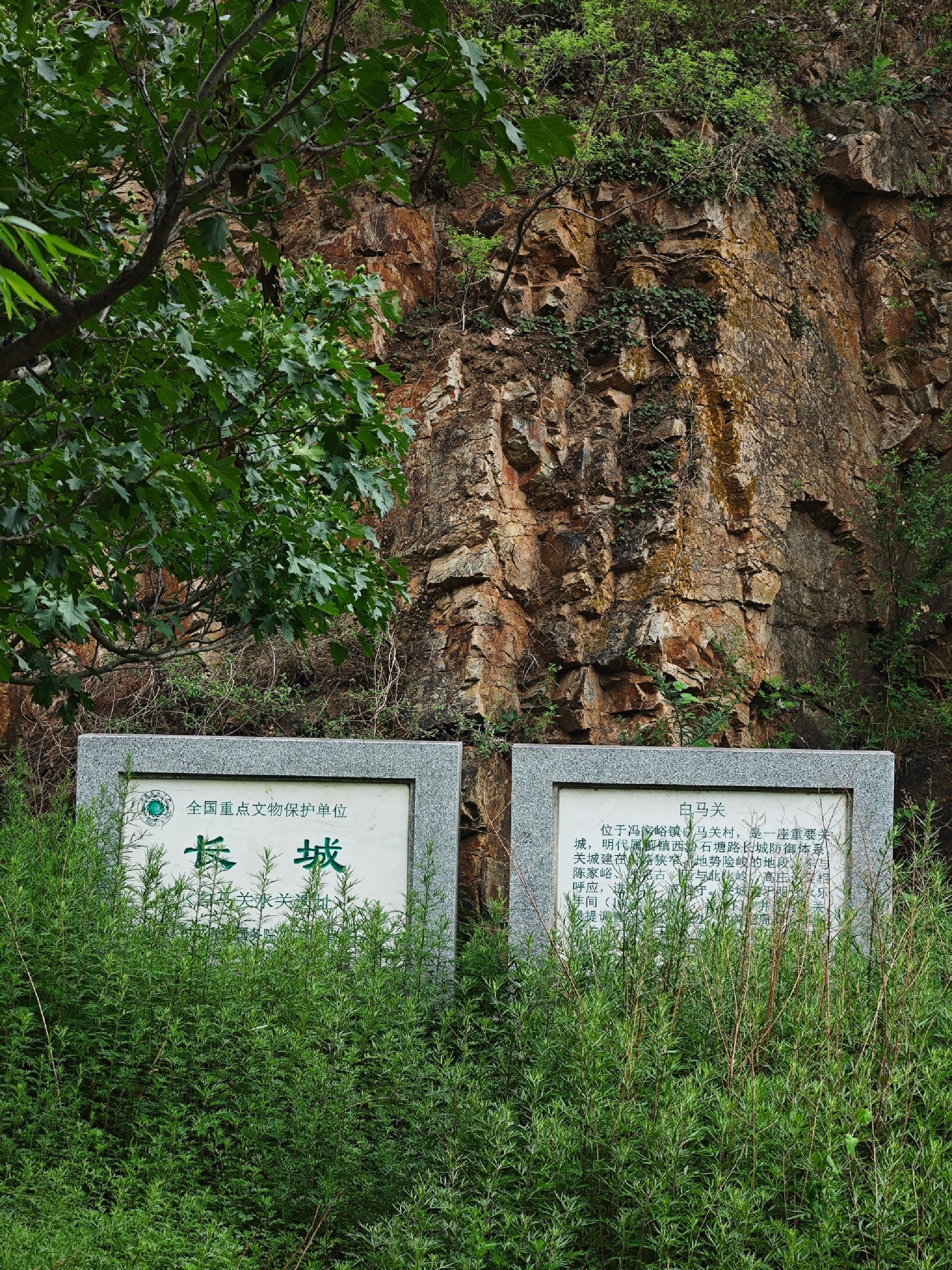 白马关长城旅行图片 1