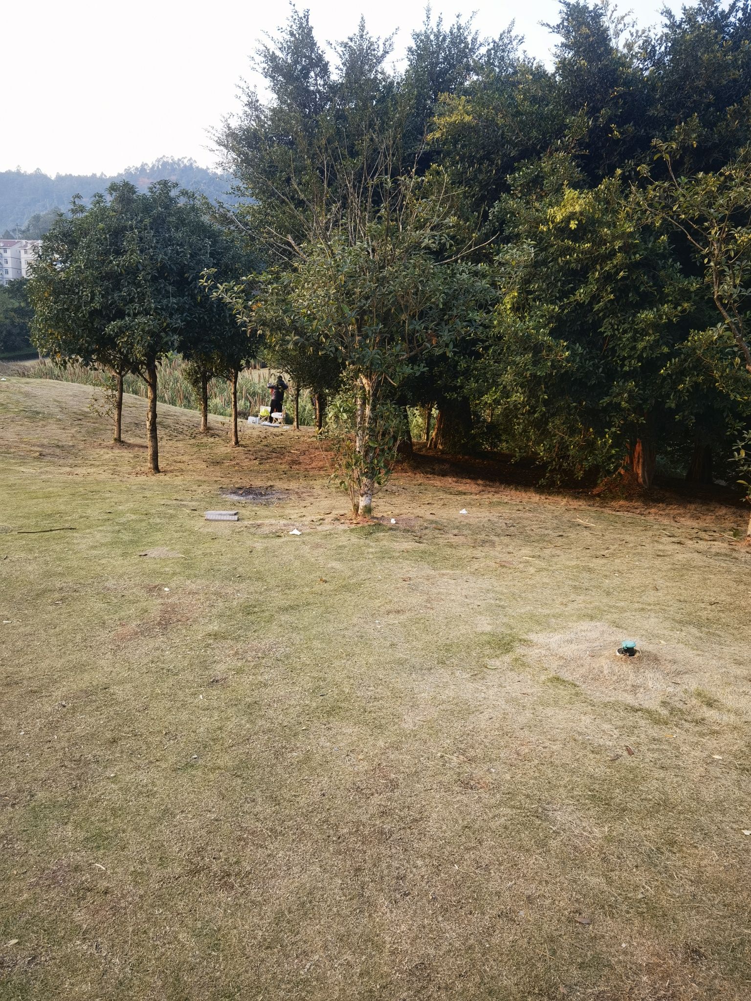 五粮液生态湿地公园旅行图片 1