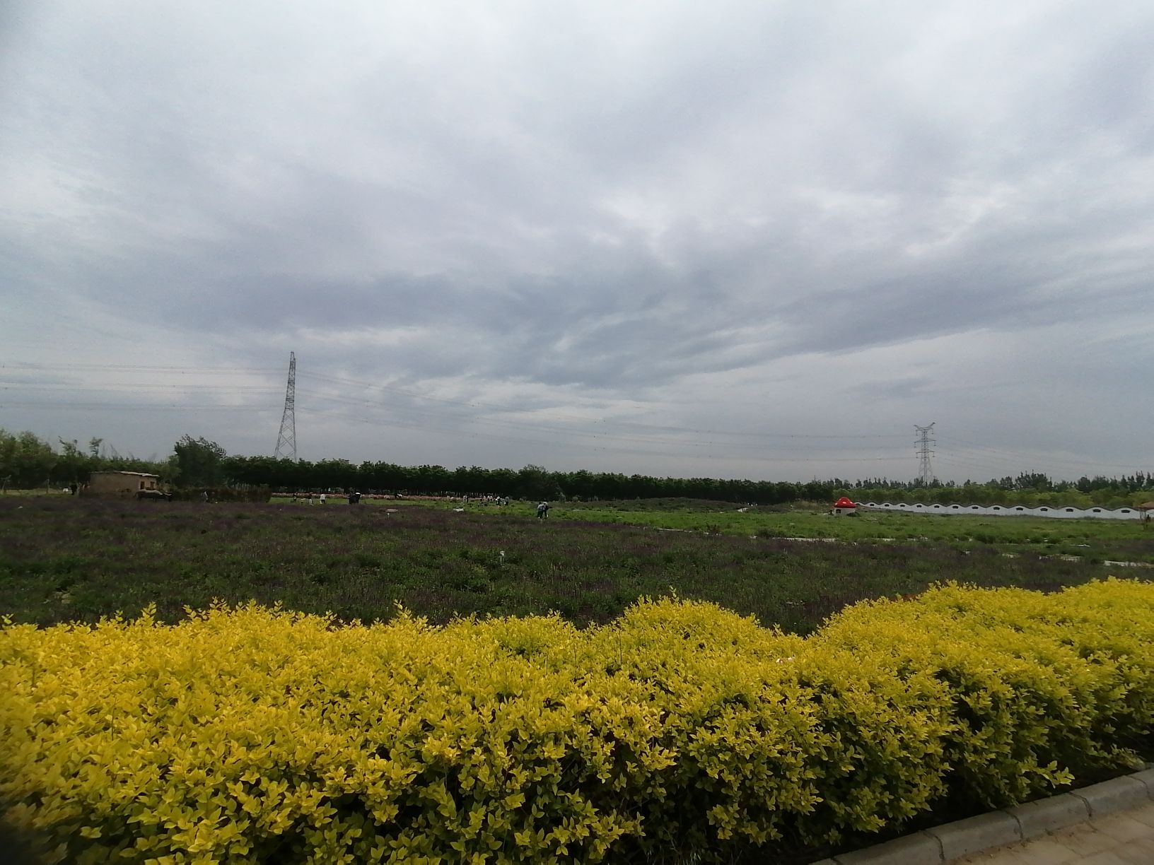 佳乡田园旅行图片 1