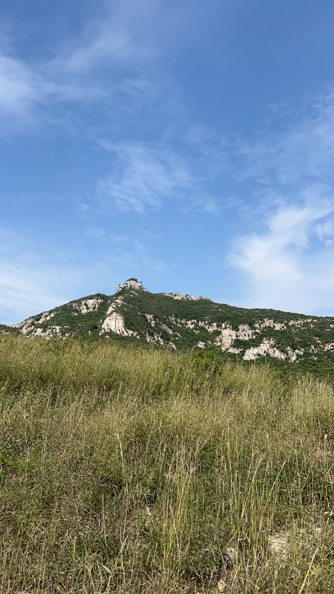 皇姑庵旅行图片 3