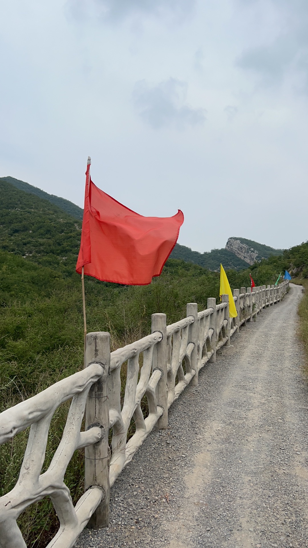 皇姑庵旅行图片 1